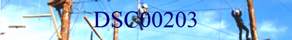DSC00203