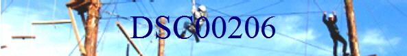 DSC00206