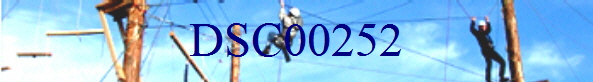 DSC00252
